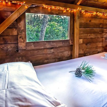 Drolma Ling Nature Cabins Theológos Exteriér fotografie