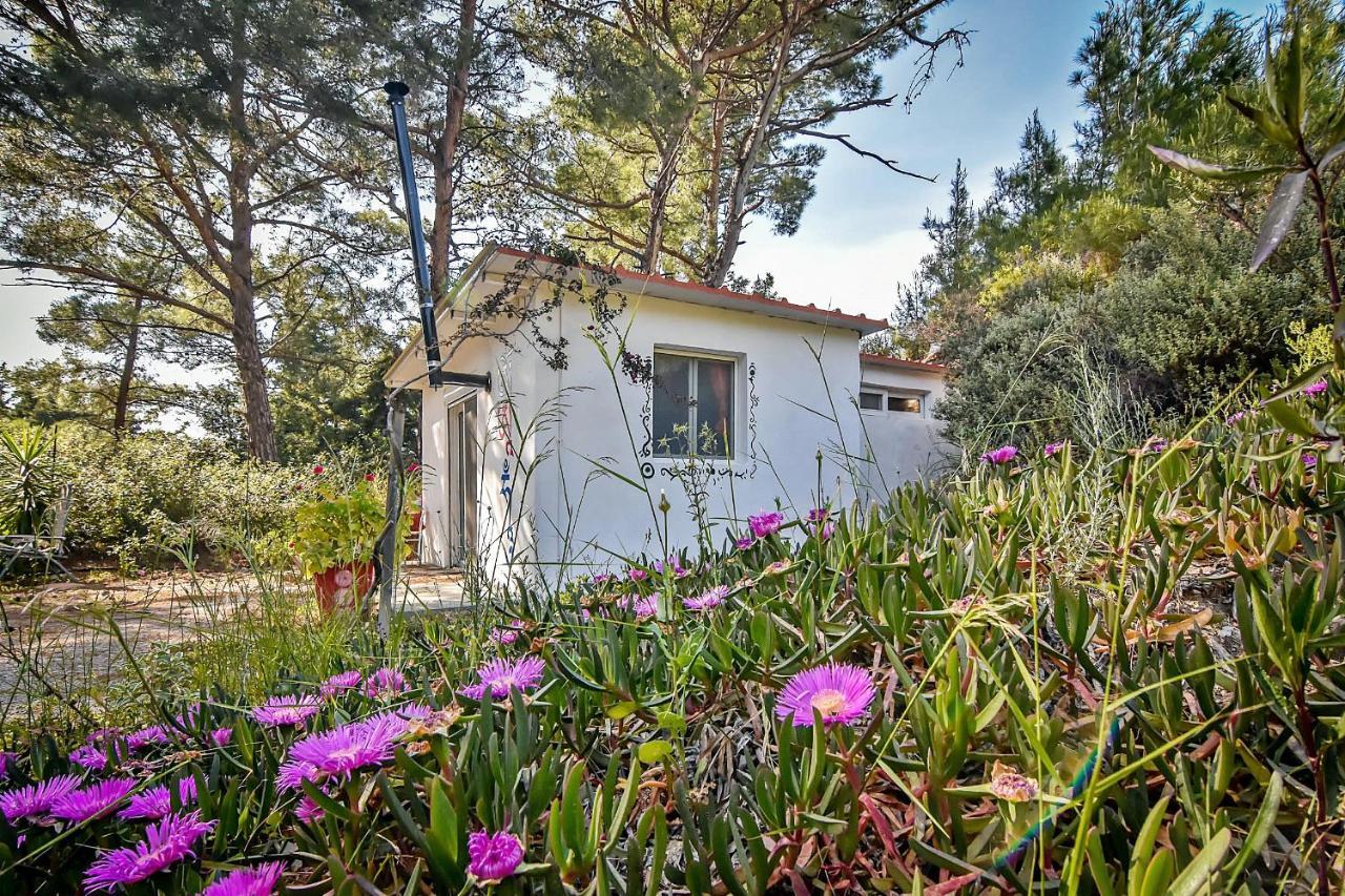 Drolma Ling Nature Cabins Theológos Exteriér fotografie