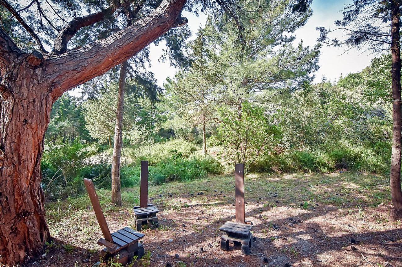Drolma Ling Nature Cabins Theológos Exteriér fotografie