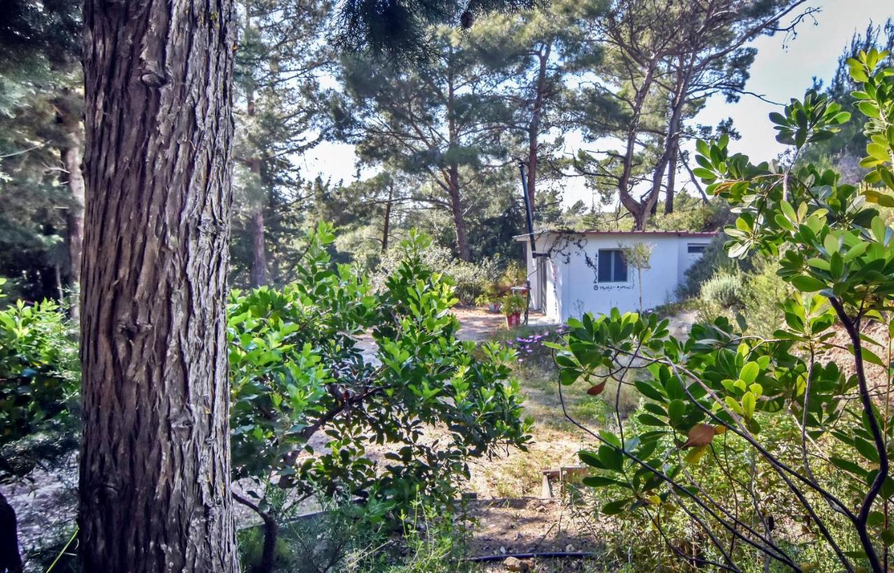 Drolma Ling Nature Cabins Theológos Exteriér fotografie
