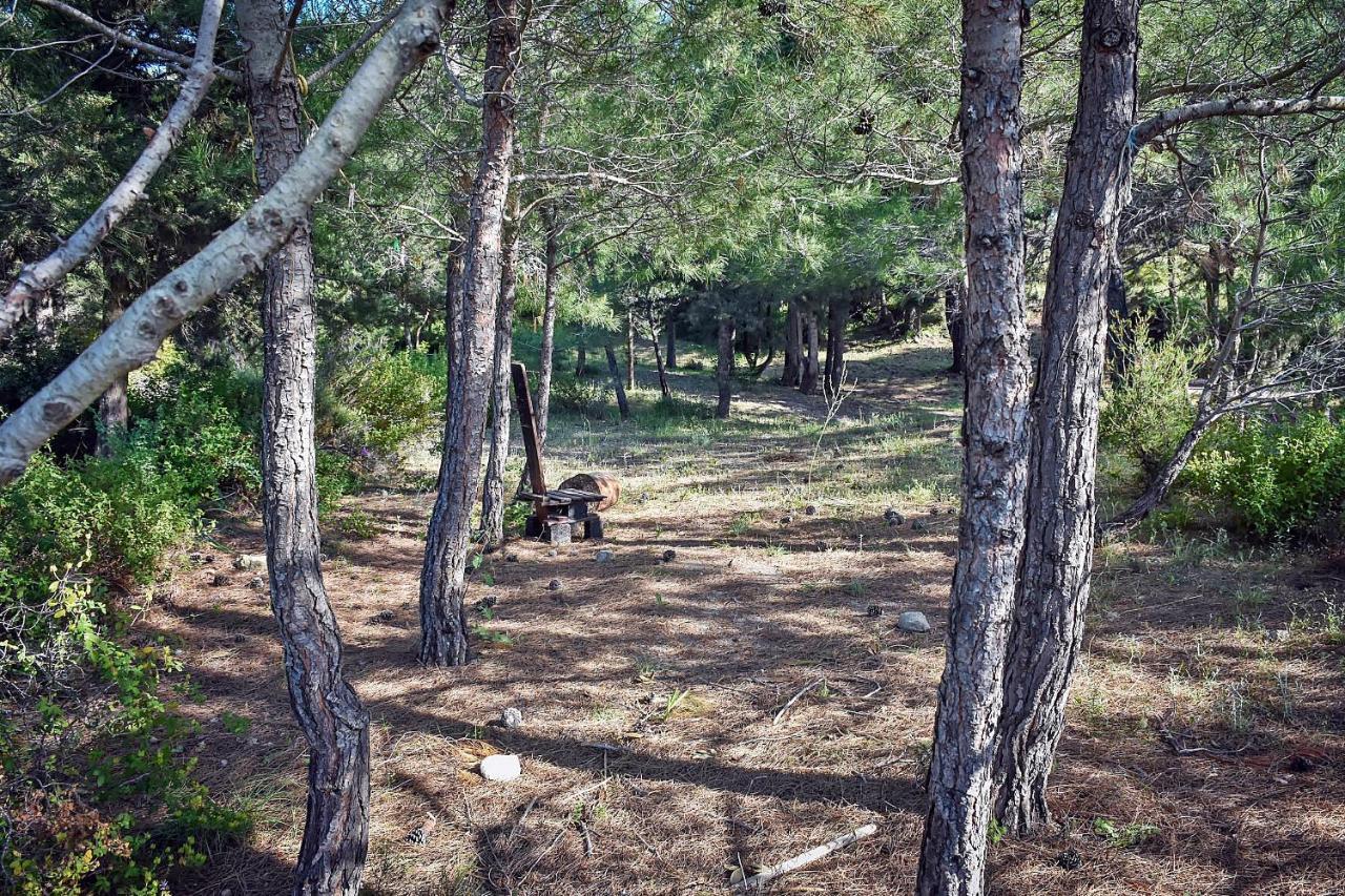 Drolma Ling Nature Cabins Theológos Exteriér fotografie