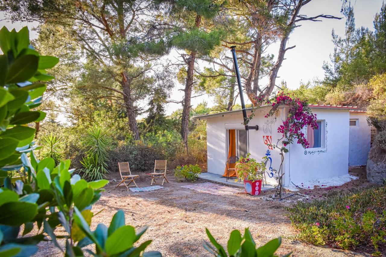 Drolma Ling Nature Cabins Theológos Exteriér fotografie