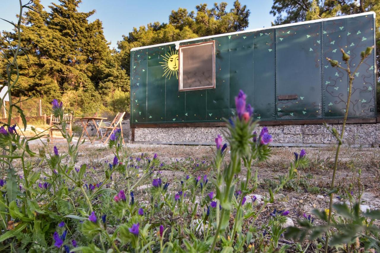 Drolma Ling Nature Cabins Theológos Exteriér fotografie