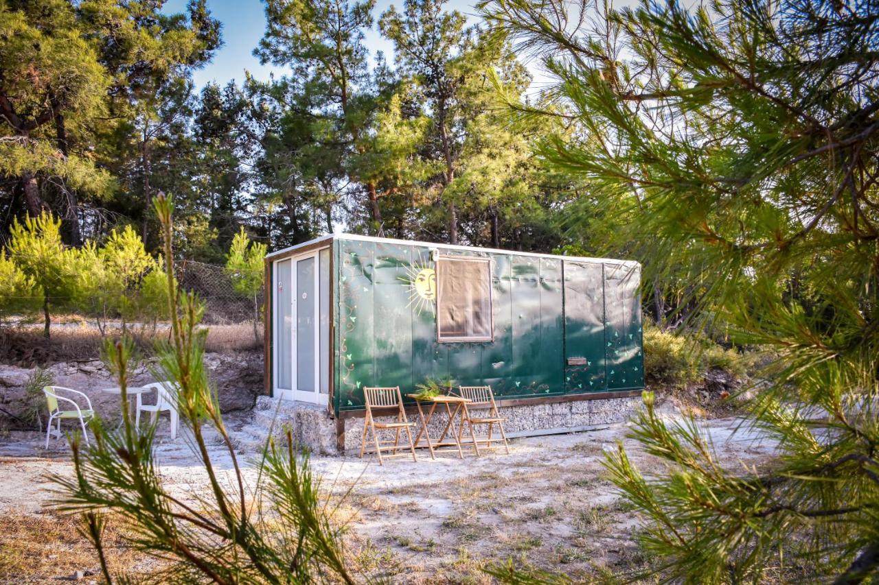 Drolma Ling Nature Cabins Theológos Exteriér fotografie