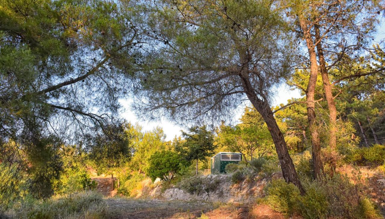 Drolma Ling Nature Cabins Theológos Exteriér fotografie