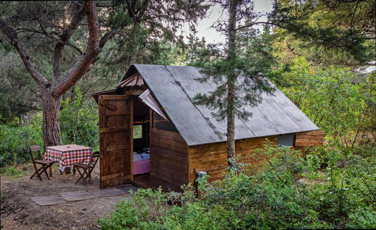 Drolma Ling Nature Cabins Theológos Exteriér fotografie