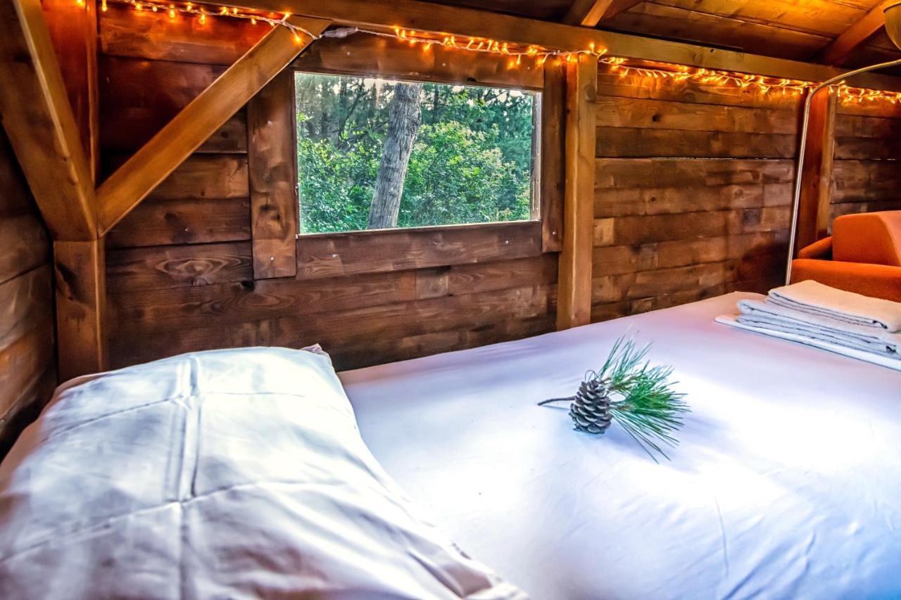 Drolma Ling Nature Cabins Theológos Exteriér fotografie