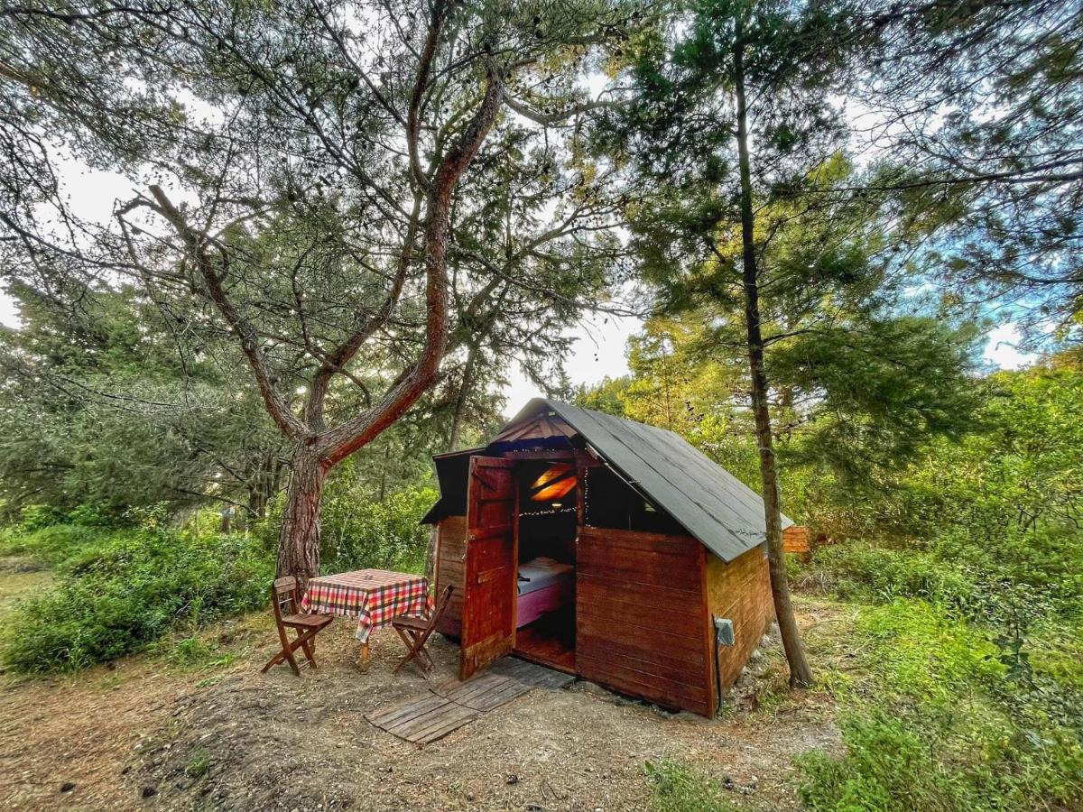 Drolma Ling Nature Cabins Theológos Exteriér fotografie
